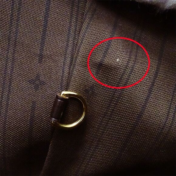 Louis Vuitton Neverfull GM Mini Lin Shoulder Bag - Picture 12 of 12